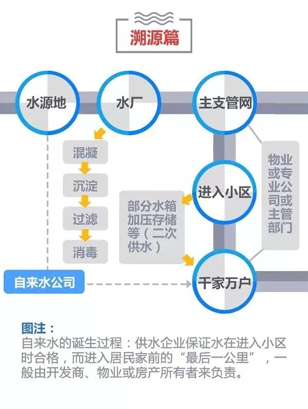 1.webp.jpg 1.webp.jpg